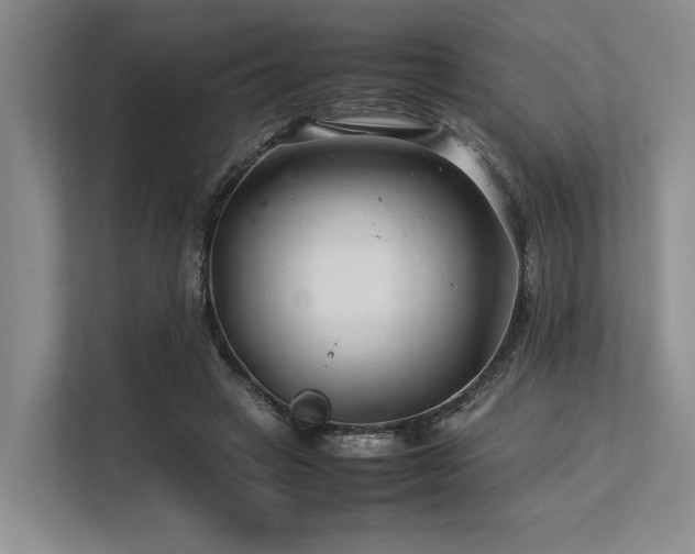 X0000113560449200909181223