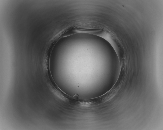 X0000113560450200909181223