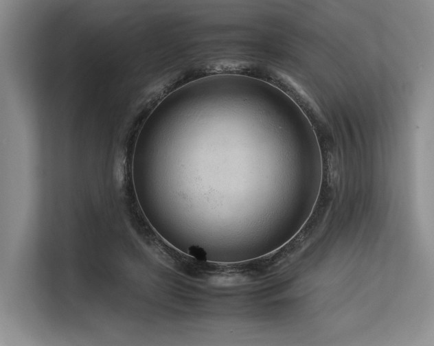 X0000113560451200909181223
