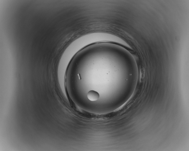 X0000113560452200909181223
