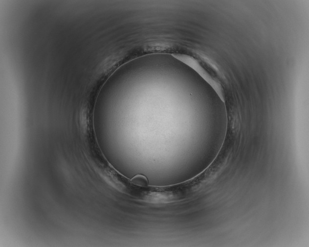 X0000113560455200909181223