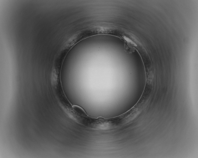 X0000113560456200909181223