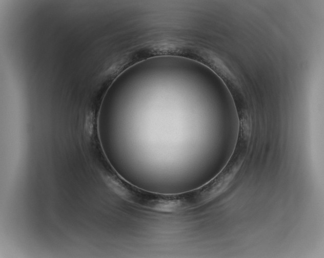 X0000113560458200909181223