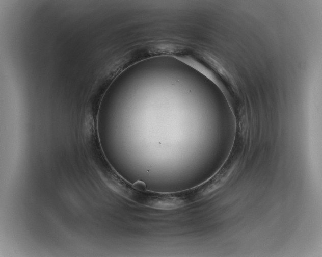 X0000113560459200909181223
