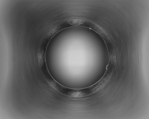 X0000113560460200909181223