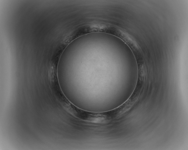 X0000113560463200909181223