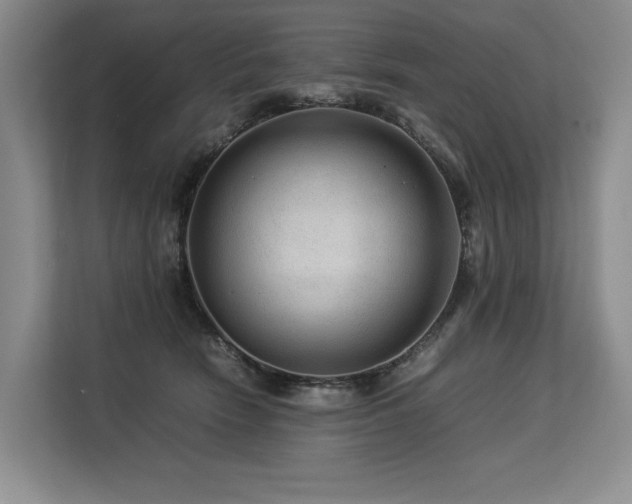 X0000113560466200909181223