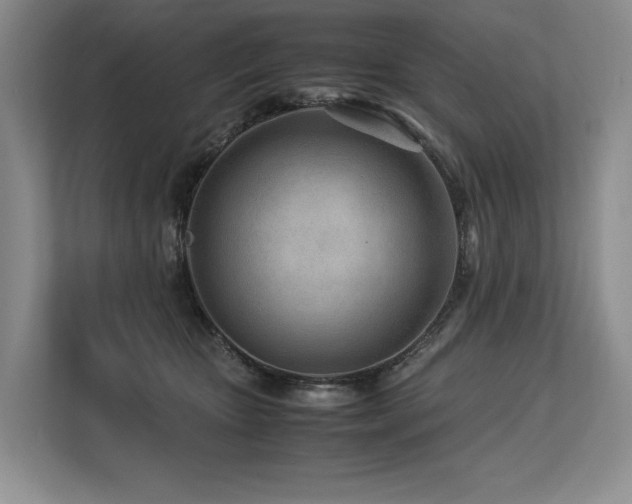 X0000113560467200909181223