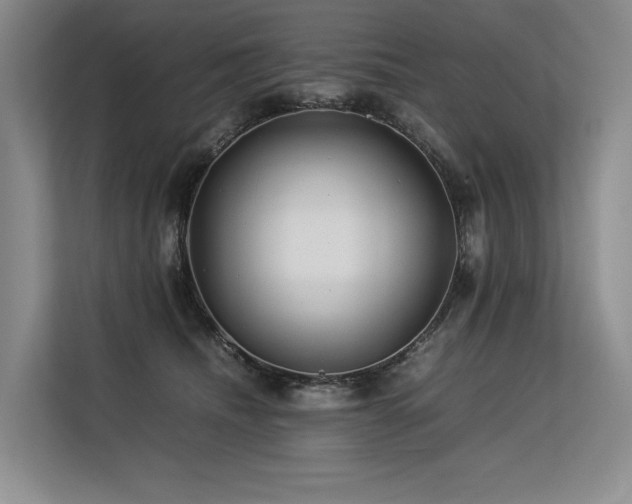 X0000113560468200909181223