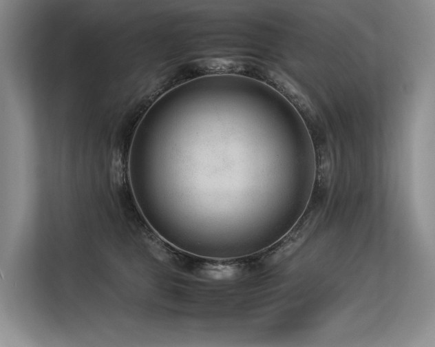 X0000113560469200909181223