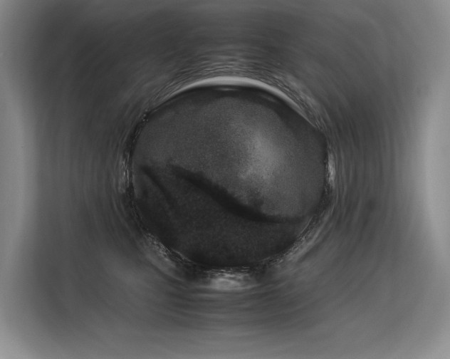 X0000113560471200909181223