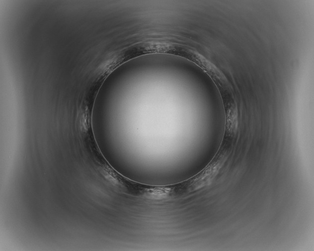 X0000113560474200909181223