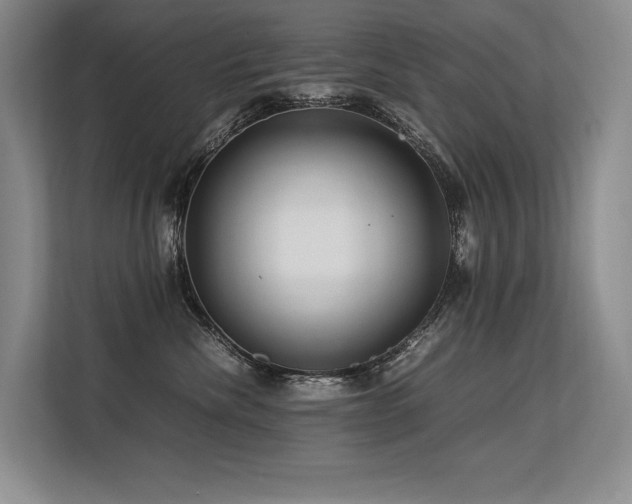 X0000113560476200909181223