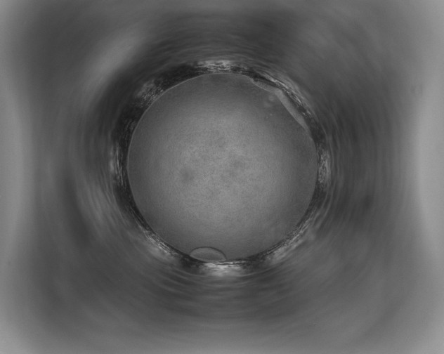 X0000113560477200909181223