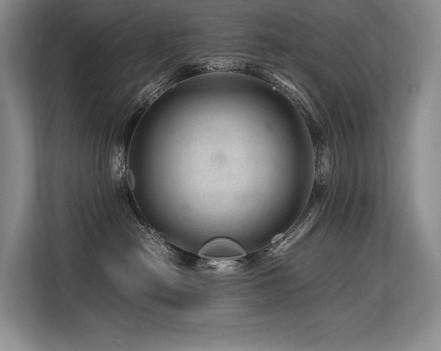 X0000113560478200909181223
