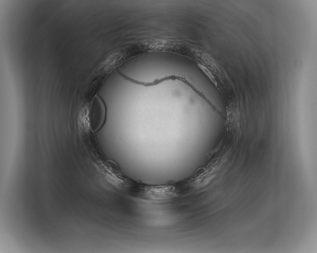 X0000113560479200909181223