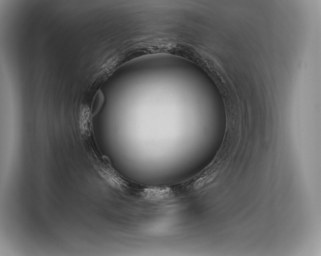 X0000113560480200909181223