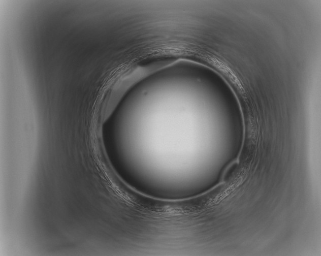 X0000113560481200909181222
