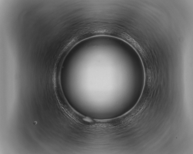 X0000113560482200909181222