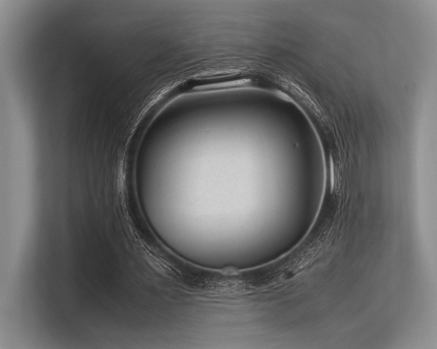 X0000113560483200909181222