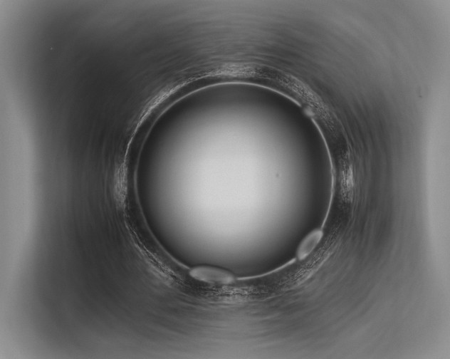 X0000113560484200909181222