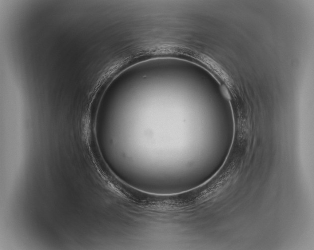 X0000113560485200909181222