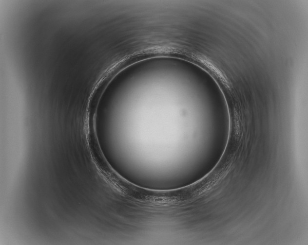 X0000113560486200909181222