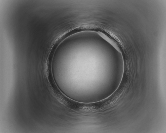 X0000113560487200909181222