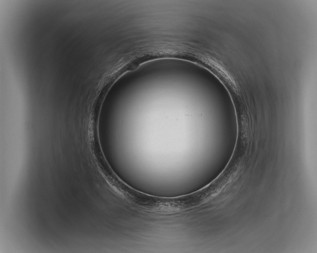 X0000113560489200909181222