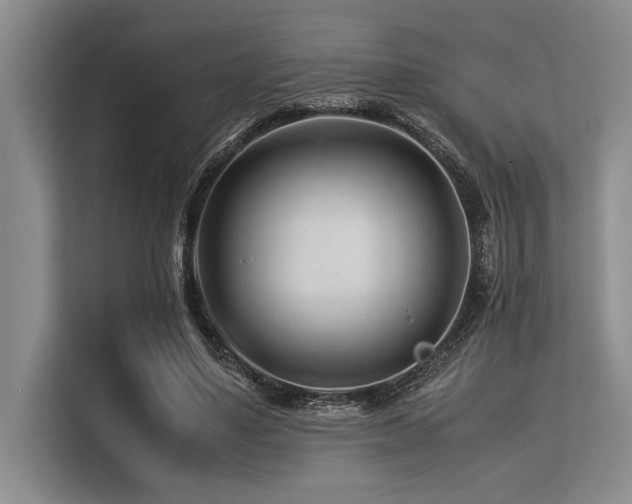 X0000113560491200909181222