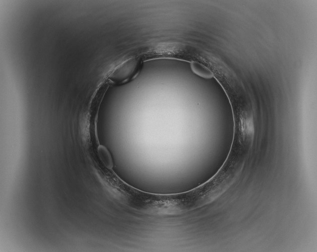 X0000113560492200909181222