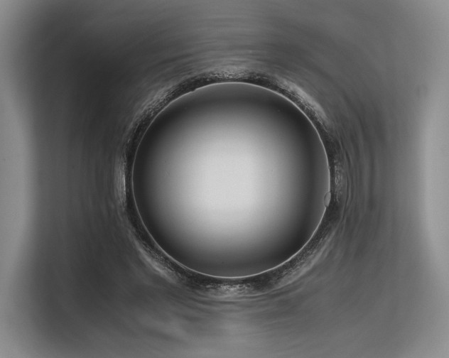 X0000113560493200909181222