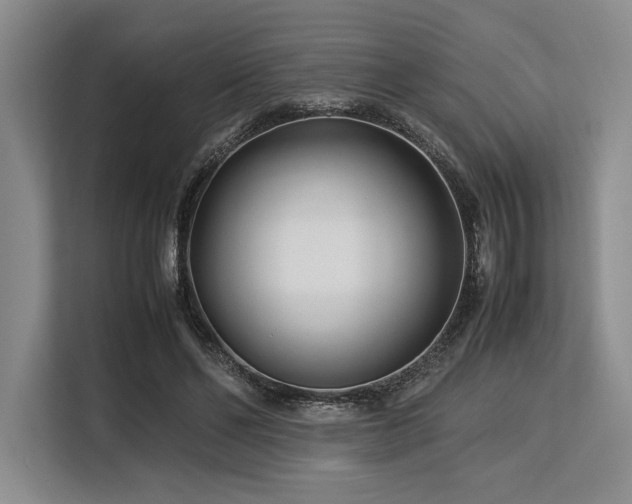 X0000113560494200909181222