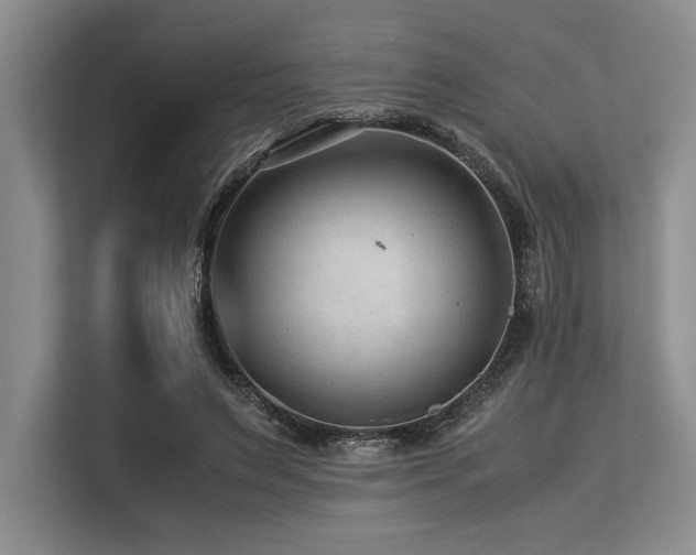 X0000113560495200909181222