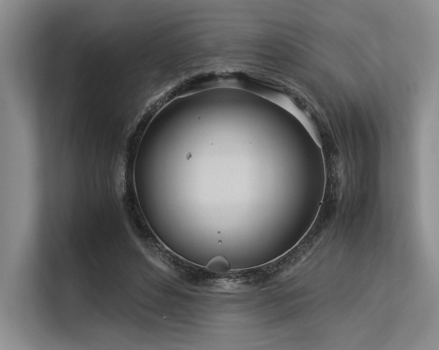 X0000113560496200909181222