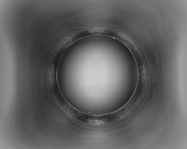 X0000113560498200909181222
