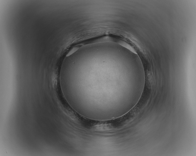 X0000113560499200909181222