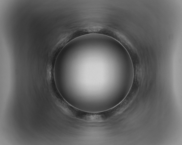 X0000113560501200909181222