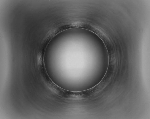 X0000113560502200909181222