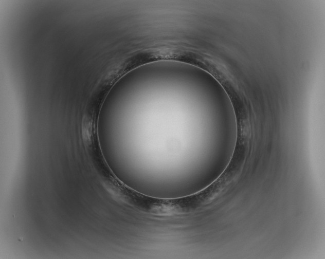 X0000113560503200909181222