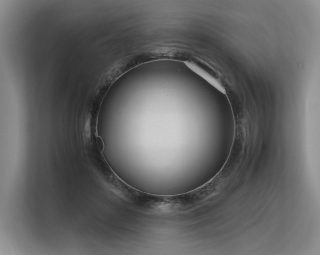 X0000113560504200909181222