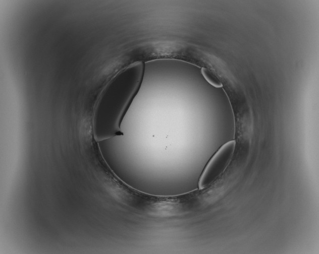 X0000113560505200909181222