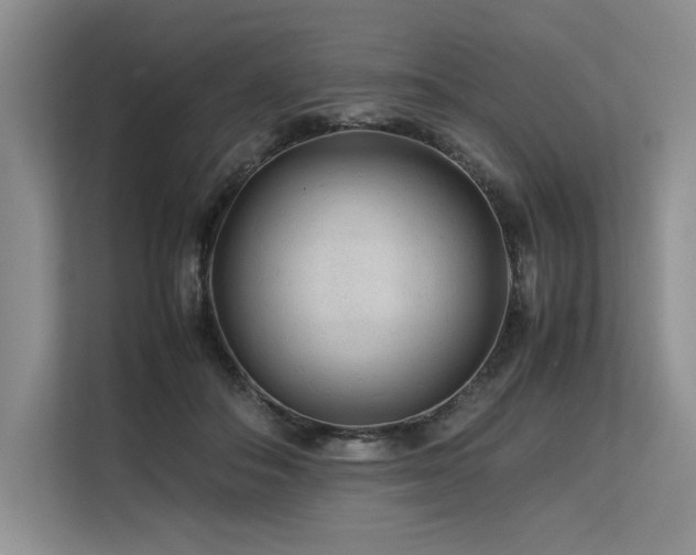 X0000113560506200909181222