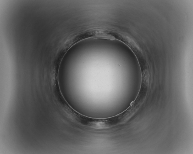 X0000113560509200909181222