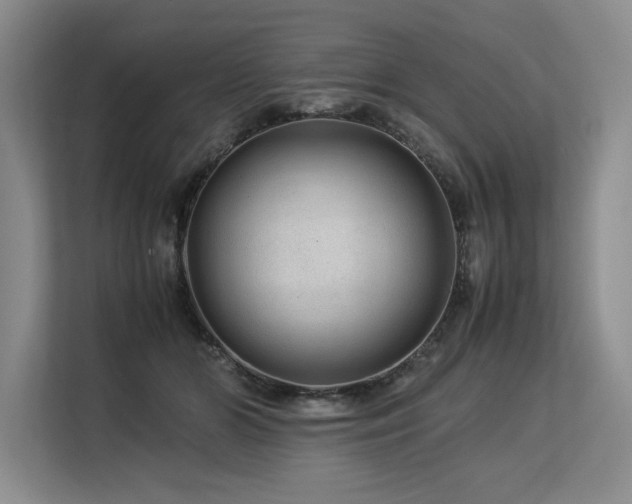 X0000113560510200909181222