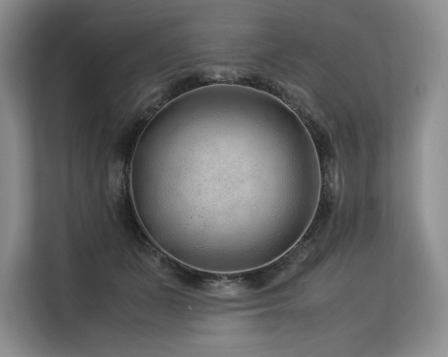 X0000113560511200909181222