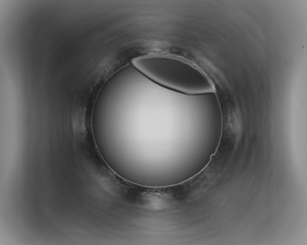 X0000113560512200909181222