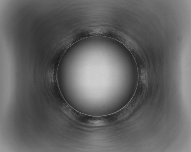 X0000113560514200909181222