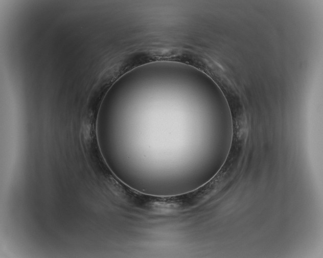 X0000113560515200909181222