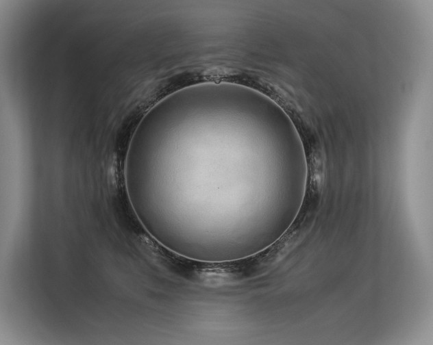 X0000113560519200909181222